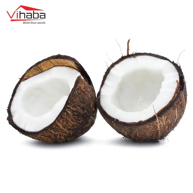 Supplier dessicated coconut low fat desiccated coconut low fat snacks food coconut powder