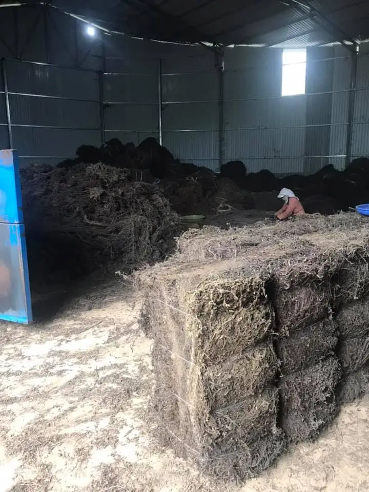 Сушеные травы желе листья делают Топпинг для напитков/мисс нефрит + 84762262344