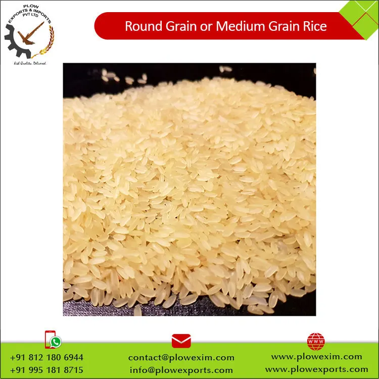 Round Grain or Medium Grain Raw Rice 5% Broken Round Rice Bulk Supply from India