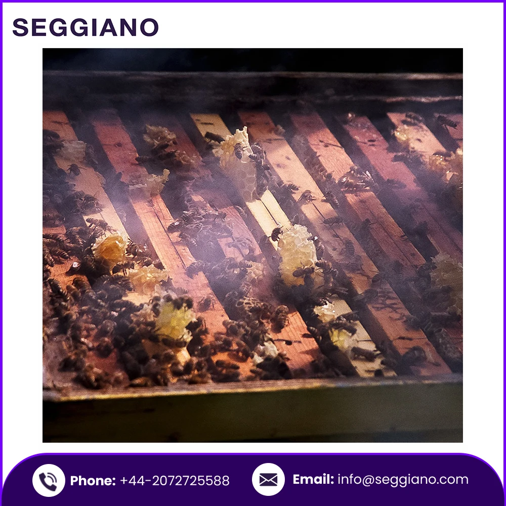 2021 Hot Selling Market Price Pure Honey Seggiano Wildflower Raw Honey 500g