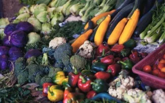 Женские пищевые добавки для поддержания здоровья и витаминные капсулы с масло примулы вечерней для женщин Hor е баланс/Meno пауза сброса (США)