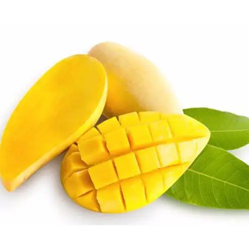 Best Quality Alphanso kesar totapuri banganpalli mango pulp Wholesale Mangos Fruit Sweet Pulp Green Tropical Mango Style