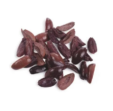 Kalamata Olive Bottle (Quarters)-22 LBS.(10kg) Bulk Restaurant Supply-In Stock Now