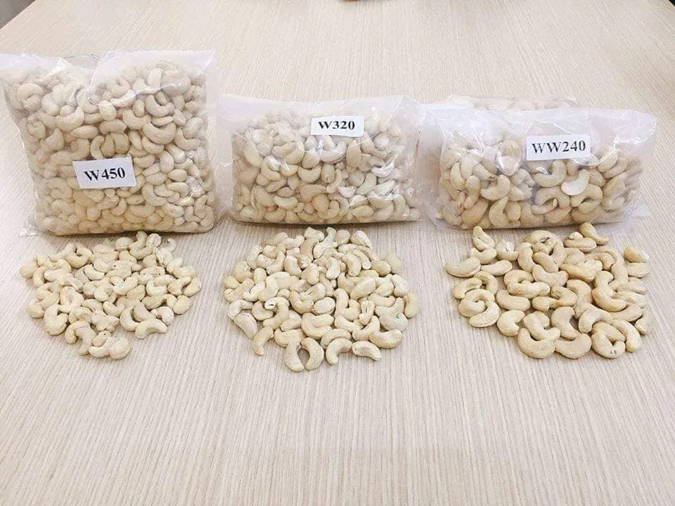 
CASHEW NUT WW240 BEST PRICE VIET NAM MANUFACTURER +84359318390 