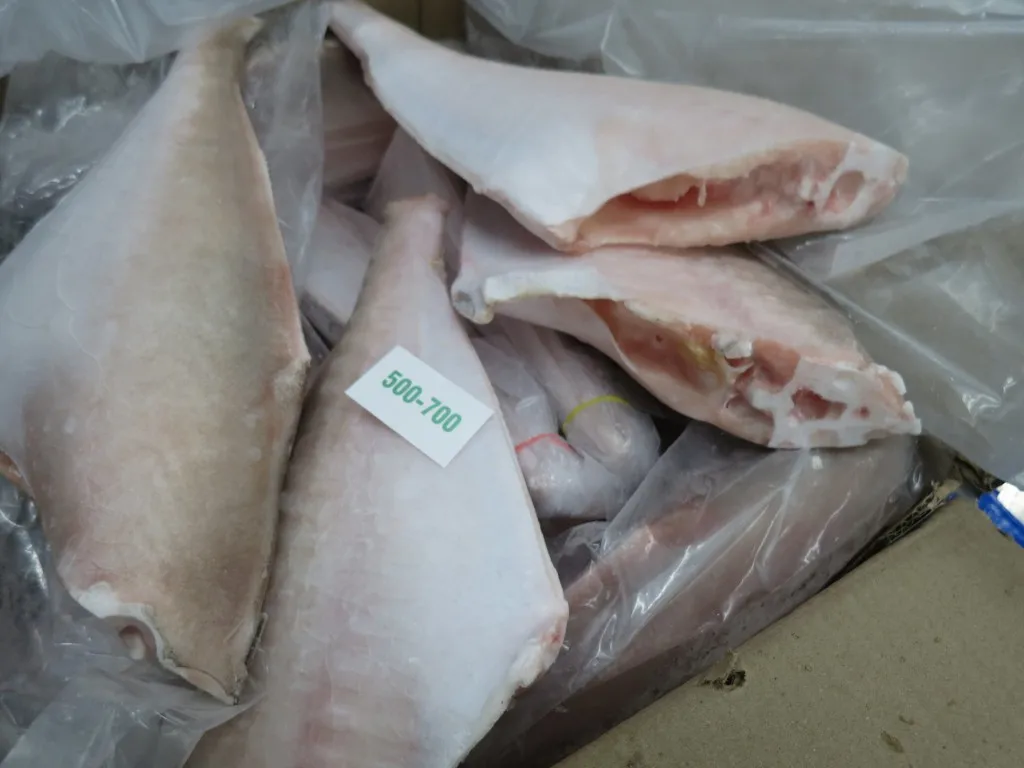  Кожаная куртка FISH HGT