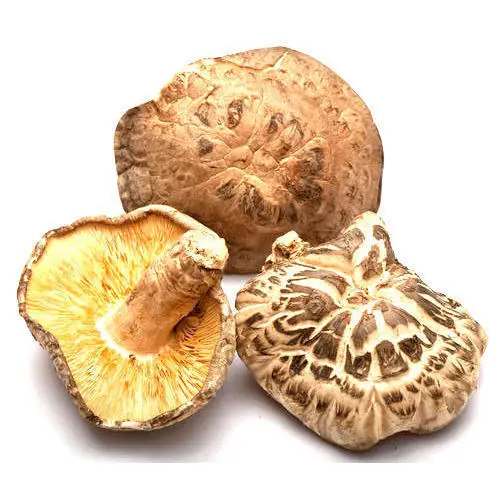 
Organic & Real FRESH WHITE Button Mushrooms 