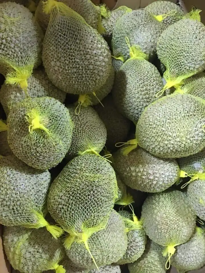 Frozen Durian Ri6 and Monthong from Vietnam // Jolene +84 336089155