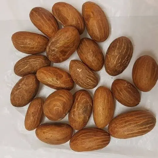Bitter Kola Nuts