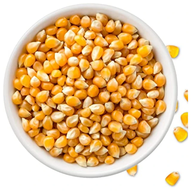 
100% Premium Quality Yellow Color Mushroom Popcorn Kernels 