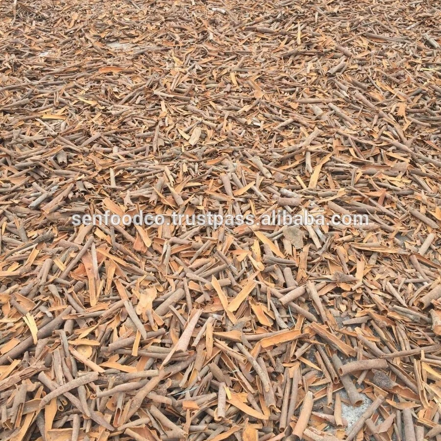 BROKEN CASSIA  FROM VIETNAM COMPETITIVE PRICE