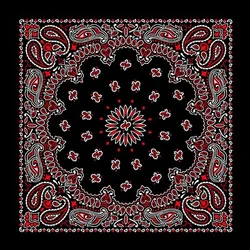 Fashionable Stylish Looking Bandana American Made Red and White on Black Western Paisley Bandana 22x22