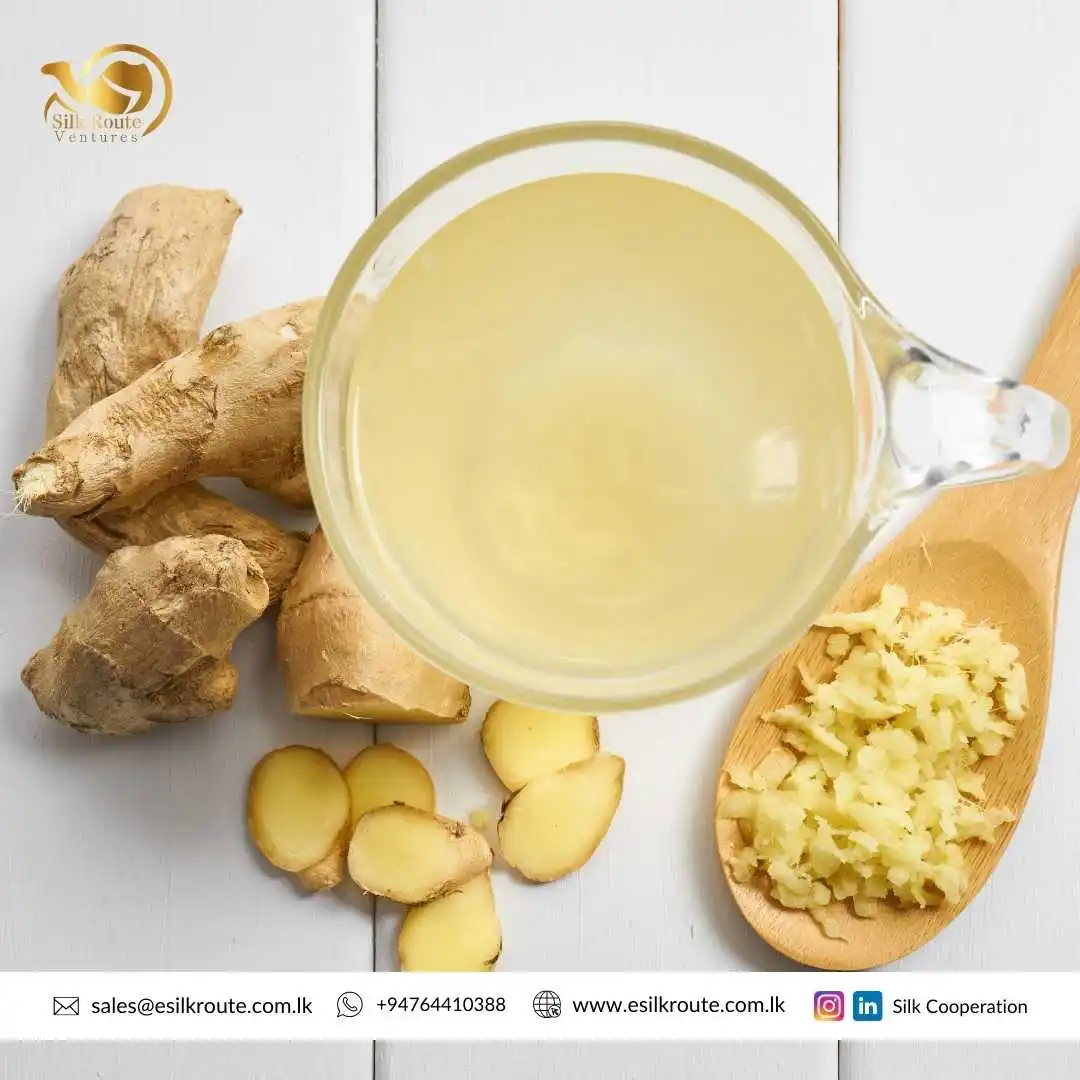 Factory Direct Supply High Quality Pure Organic Natural Ginger Tea Cut at Bulk Price