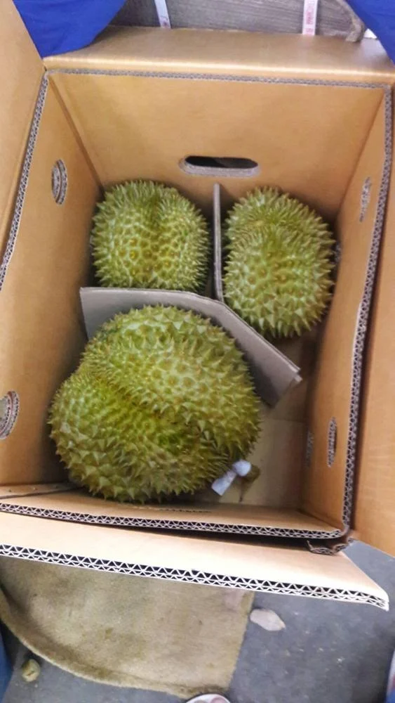 
Fresh Monthong Golden Pillow Durian Thailand 