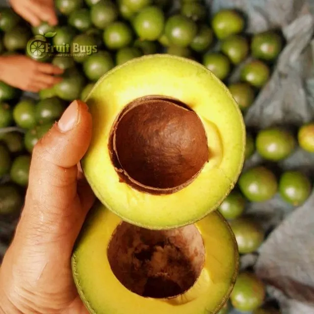 Хит продаж замороженный фруктовый продукт профессиональный вьетнамский производитель OEM авокадо