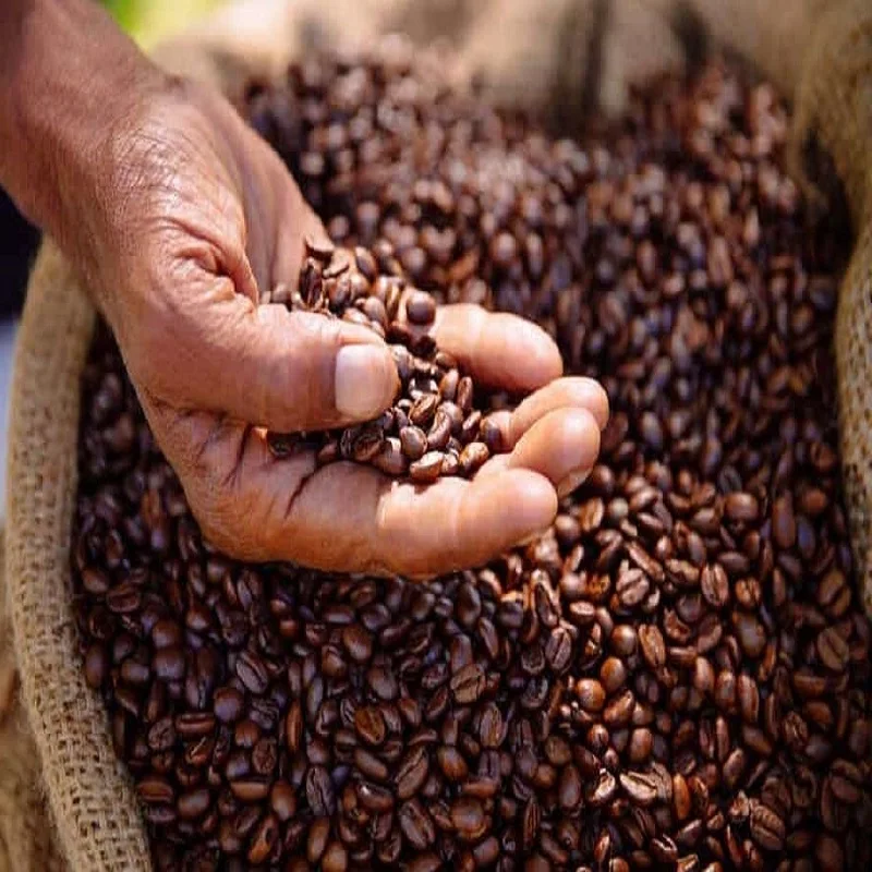  Оптовая цена высококачественные жареные цельные кофейные зерна лучший продавец во Вьетнаме для приготовления напитков 2021
