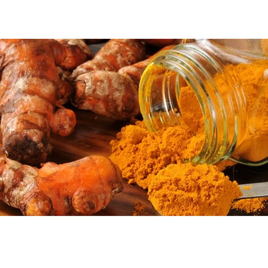 
Fresh turmeric root is herb for health - Vietnam organic turmeric powder 