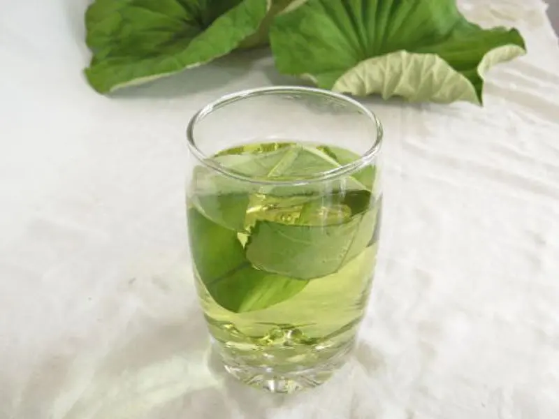 Weight Reducing Slimming Tea Dried Lotus Leaves Block Break down fat Lower blood pressure