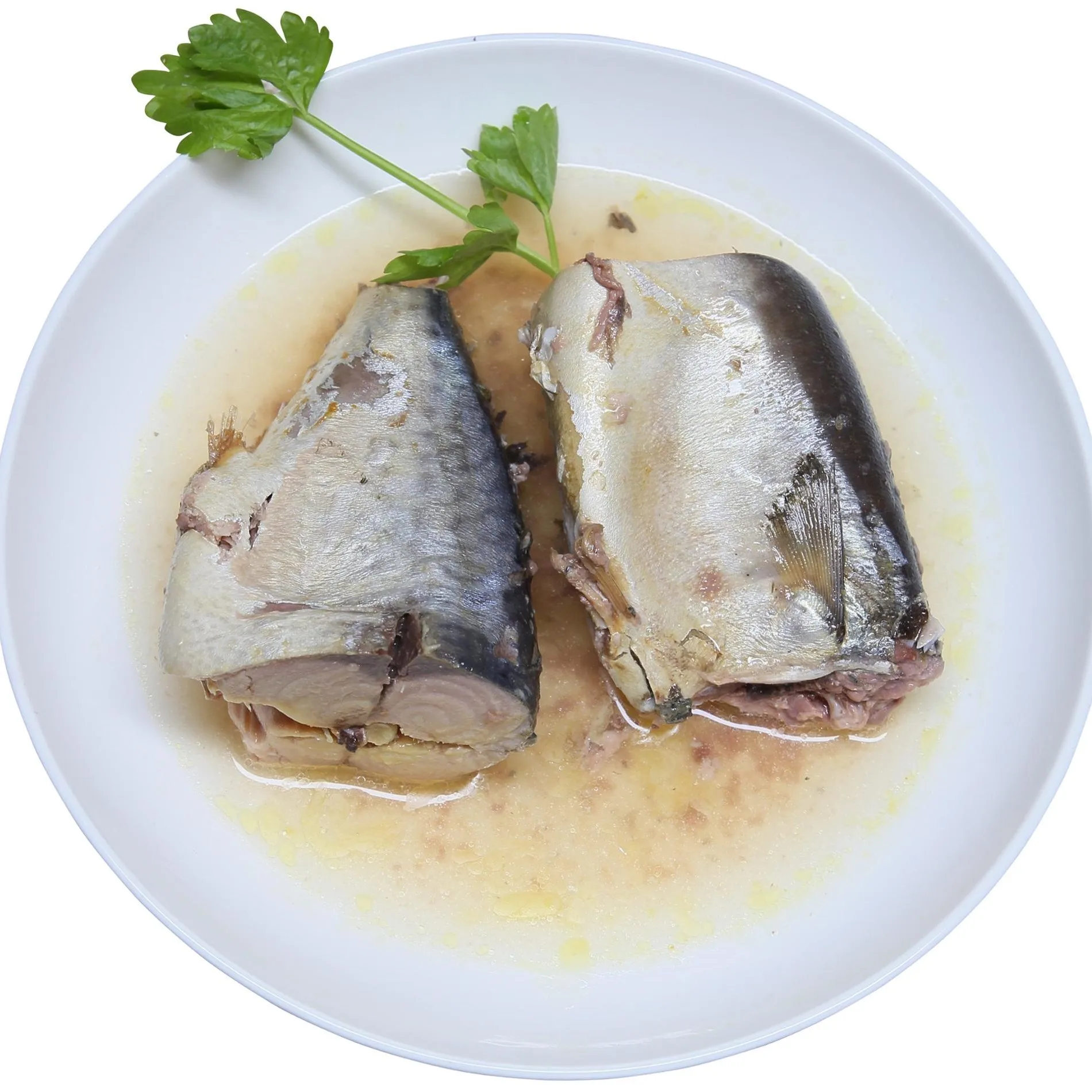  Best Quality Canned Tuna. Mackerel Fish and Tinned