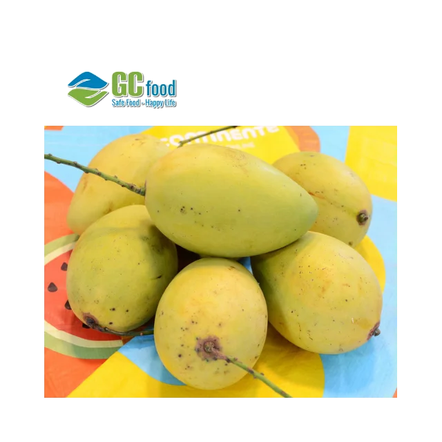 (GC Food) Свежий Кот манго Chu-Высококачественные свежие фрукты гладкая желтая кожа-100% натуральный сладкий из Вьетнама