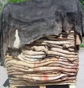 Best Quality Wholesale Raw salted Cow hide skin For Sale In Cheap Price