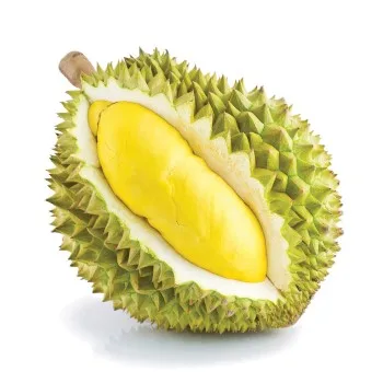 
GOOD Premium Fresh Durian For Sale 