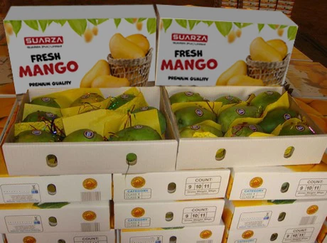 2nd box image (2).jpg