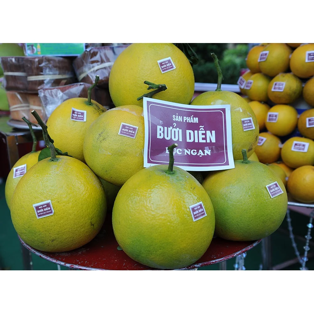 Высокое качество оптовая продажа специальная кухня органическое культивирование зеленый грейпфрут со сладким вкусом из Вьетнама