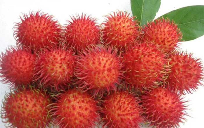 High Quality Rambutan Fruit in Fresh Style for Export Sweet Taste for Food Plant-Direct