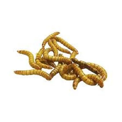 BULK IN STORE WORM MEAL