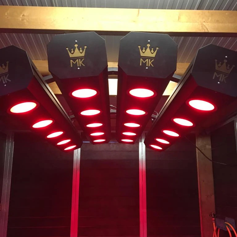 MK Solarium for horses, rehabilitation