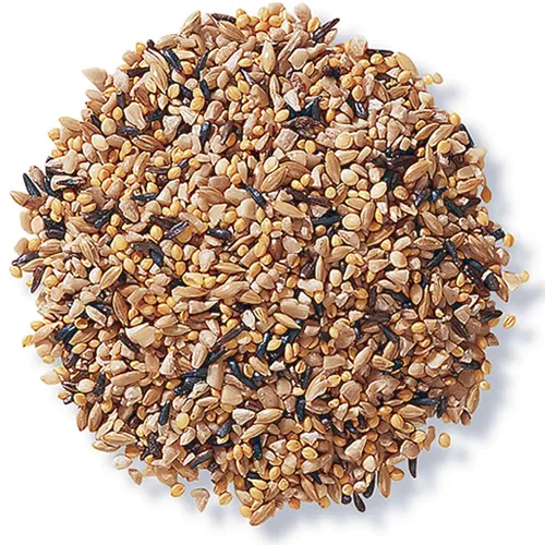 
canary bird seeds / packets red millet seed 