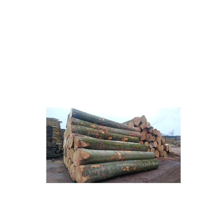 Sawn Timber logs/Beech Logs For Sale In Europe At Low cost.