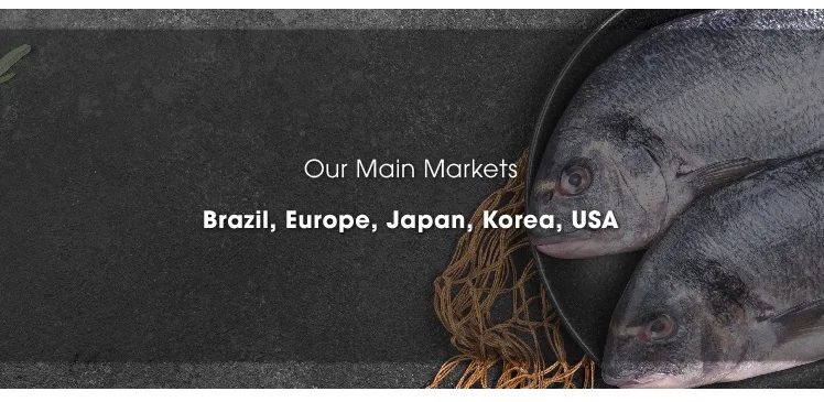 Our Market.jpg