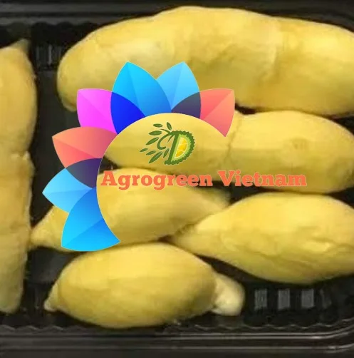 Frozen Durian Fruit(Seedless) -  Frozen Fruit