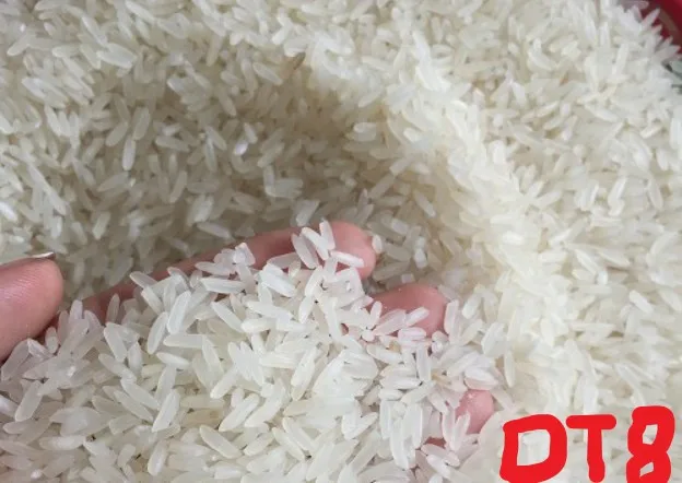 
Cheapest price DT8 Vietnam Fragrant rice 5% broken/ whatsapp 84 962614435 