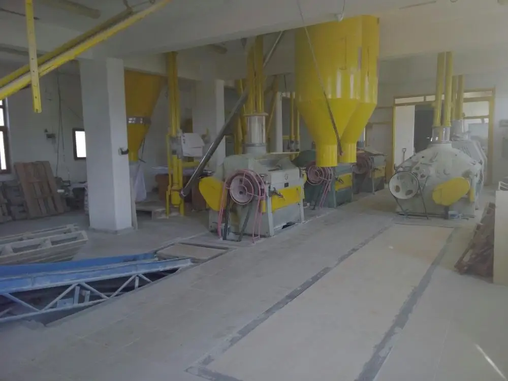 Ukraine organic natural grain wheat.