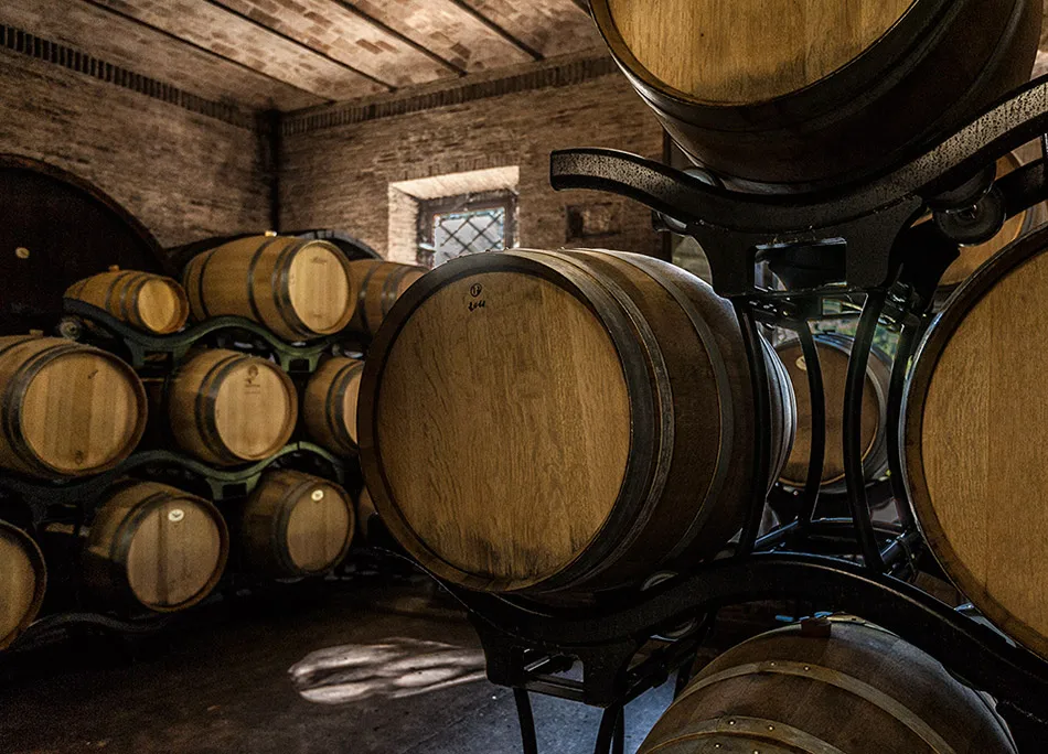 Red wine Supertuscan igt made in italy Castello di Barbialla 2020