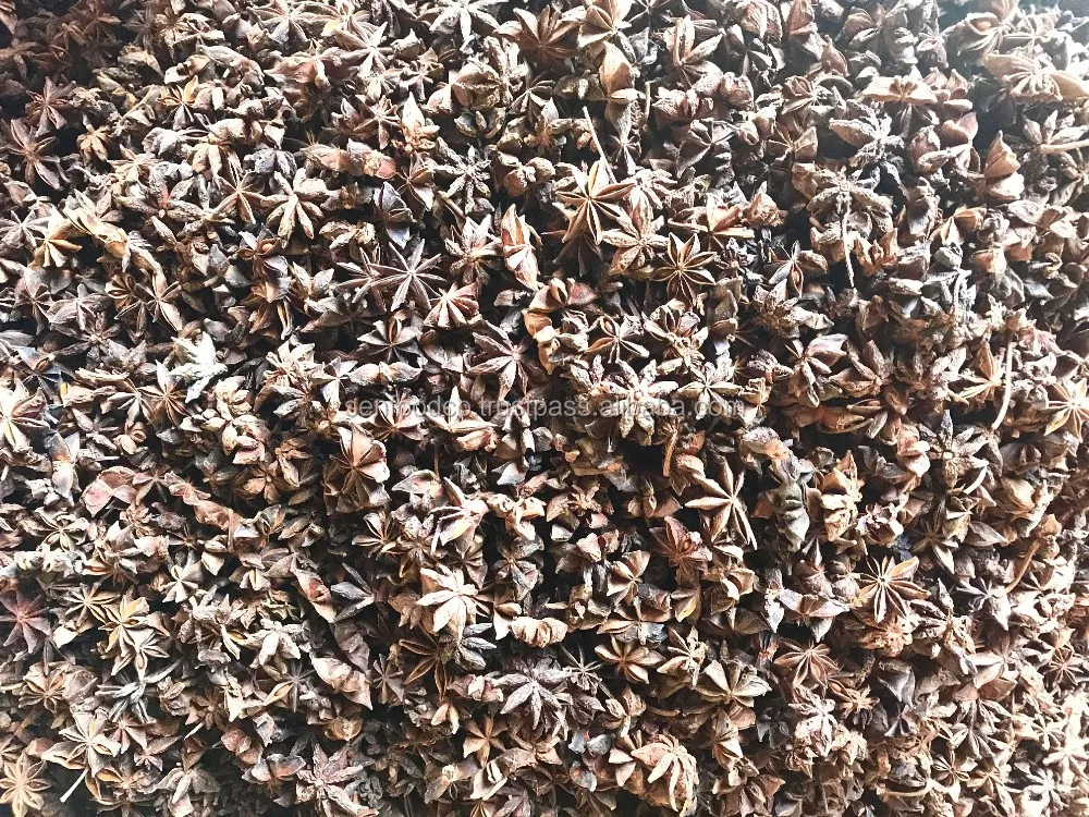 Spices - AUTUMN STAR ANISE FROM VIETNAM Good price