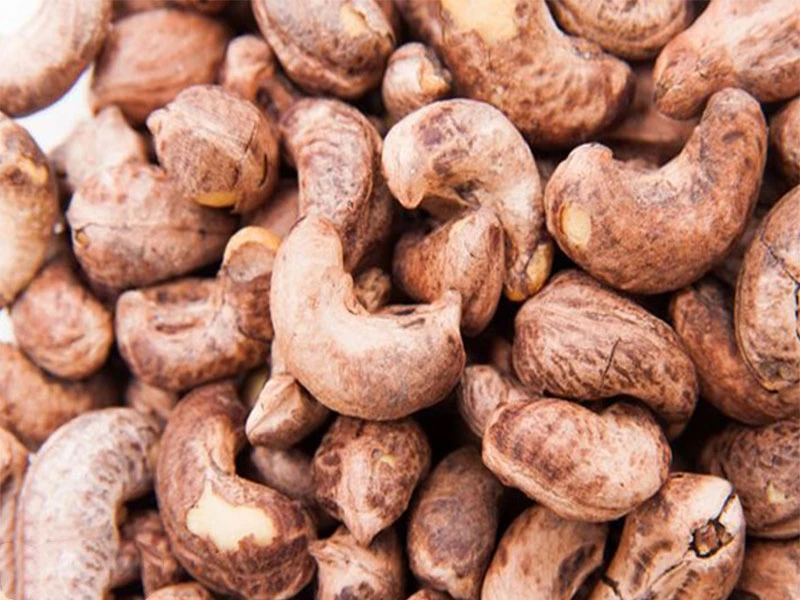 Высококачественный жареный кешью с солью из Вьетнама