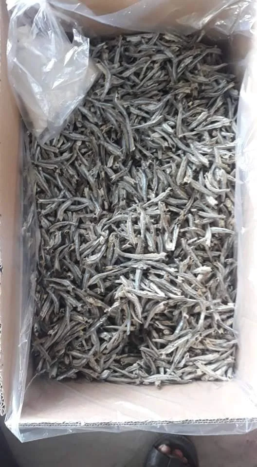 Сушеный СПАТ/сушеный на солнце рыба Анчоуса из Вьетнама по хорошей цене // Sven + 84 966722357