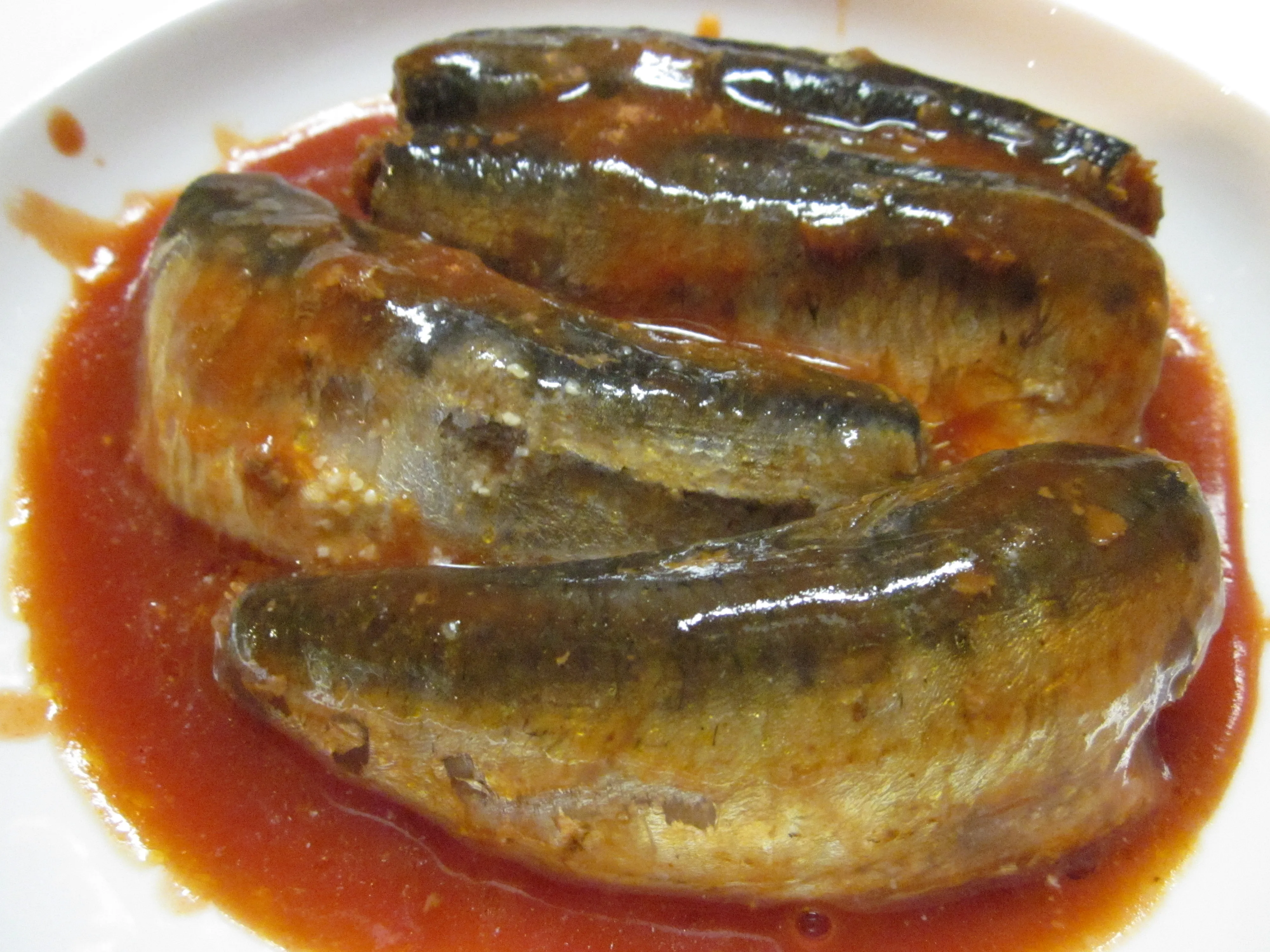  Поставщик консервных морских продуктов растительное масло томатный соус рыба скумбрия сардины экспортеры США Великобритании