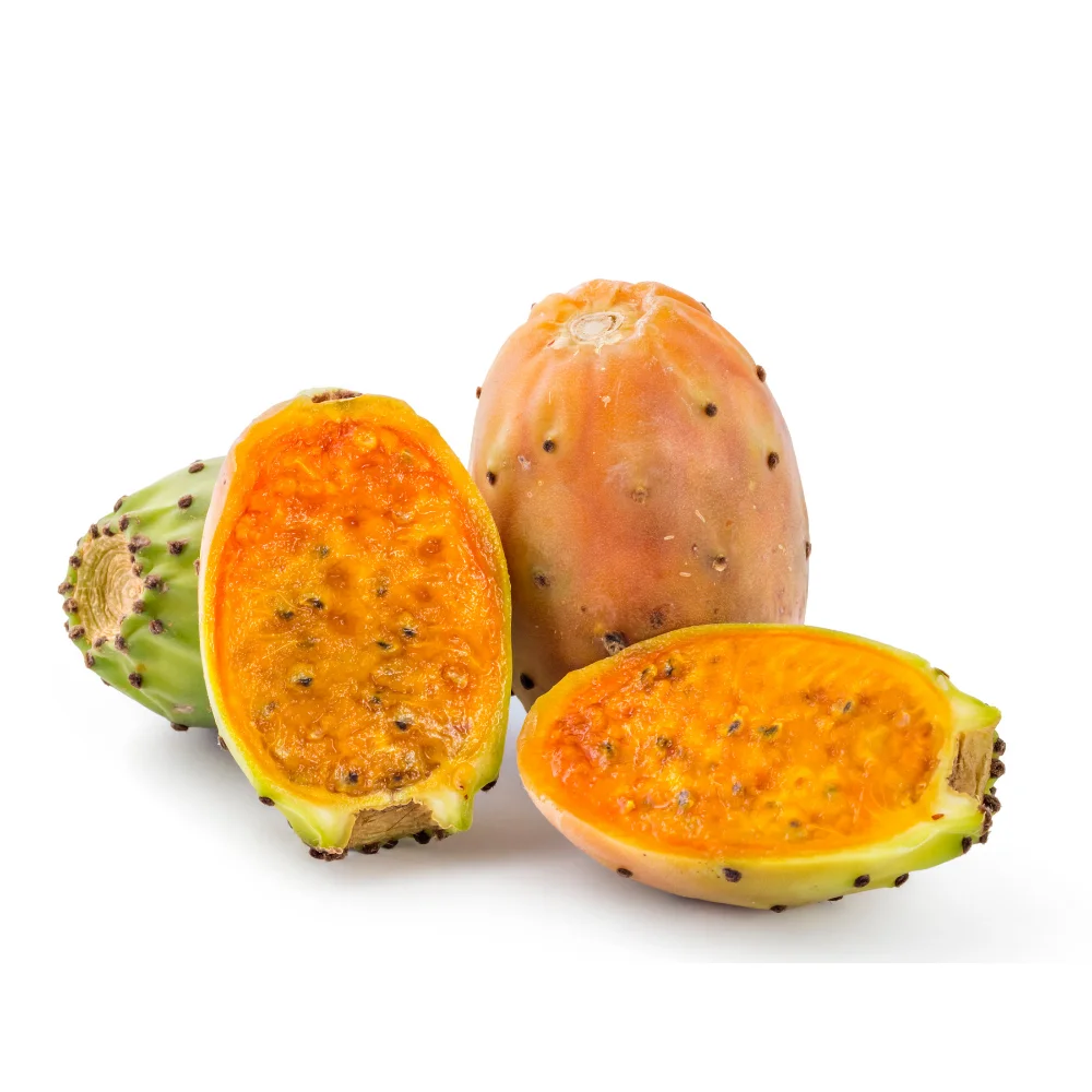 
Aloe Vera Juice + Prickly Pear Juice Organic Extract | OEM OBD Private Label 1L - 500ml Bottles | Made in Italy 