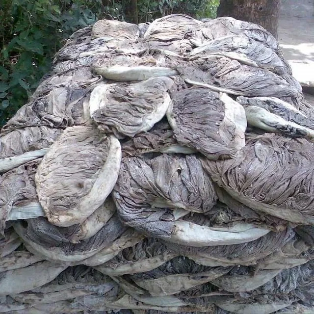  Соленая говядина Omasum из