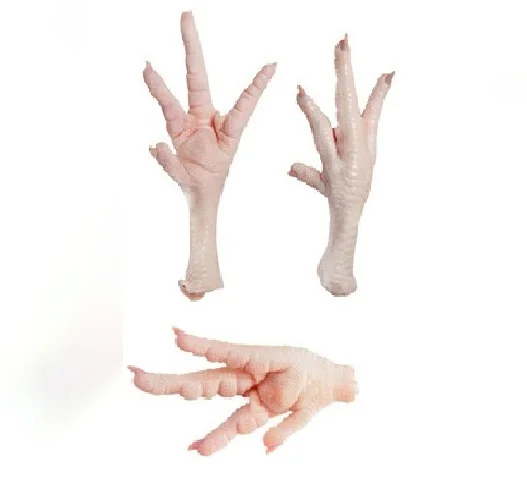Frozen Chicken Paws GRADE A++ for sale