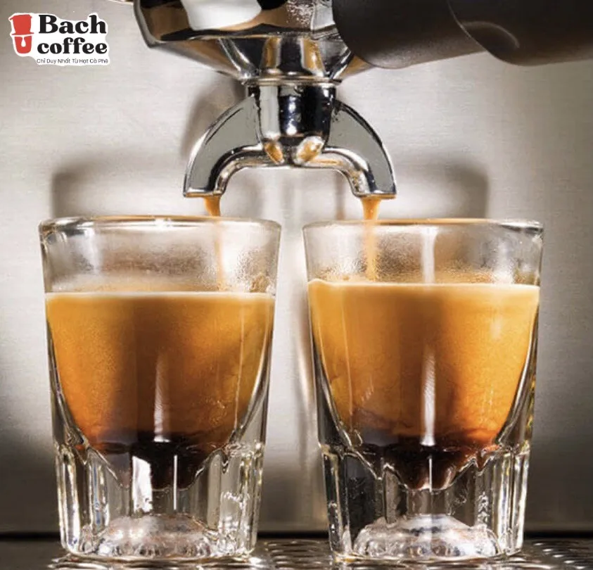 Свежий молотый кофе Cafe Arabica Beans, грязевая лампа с кардамовым кофе робуста-небольшая партия и дизайн OEM.