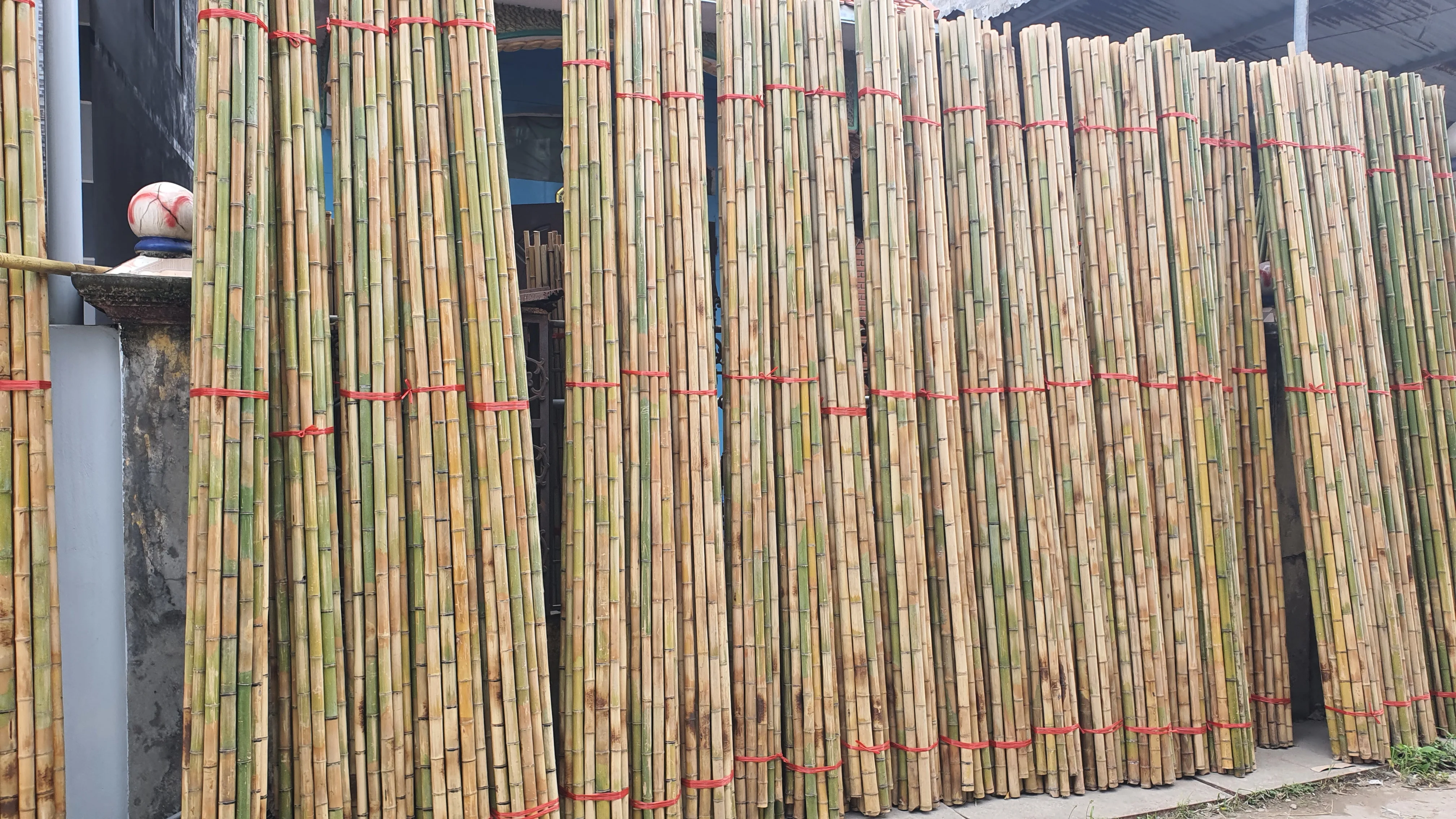 Дешевое бамбуковое дерево из Вьетнама для сухого бамбукового столба, оптовая цена