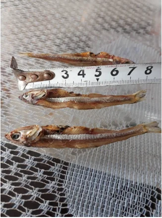 BEST QUALITY ANCHOVY FISH/ DRIED FISH / Katie +84352310575