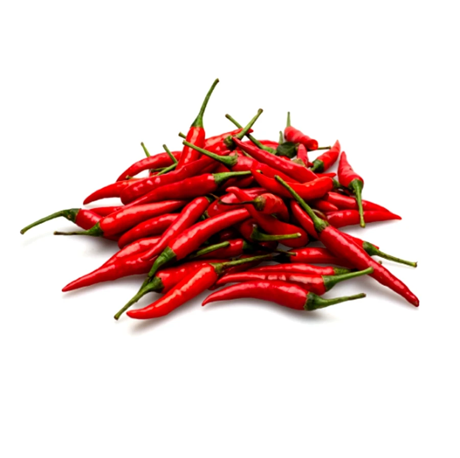 100% Dried Chili No Stems Hight Quality Hot Peppers Spices Sun Dried Whole Chile Pepper stemless Premium Product of Thailand