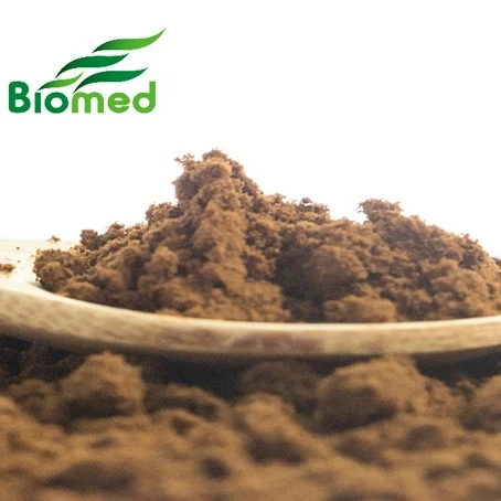 Antrodia camphorata powder Liver care health supplements