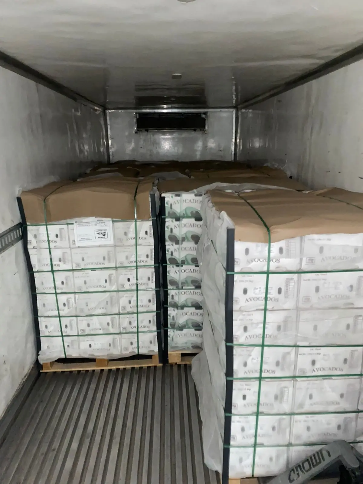 Top Quality All caliber Avocados Food Price Cold Storage Natura Mixed Drinks Fresh Fruit Importers Import Export  D